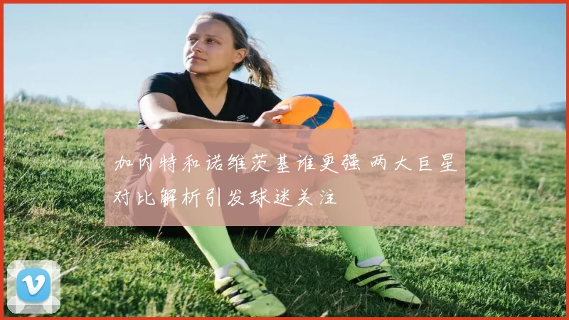 加内特和诺维茨基谁更强 两大巨星对比解析引发球迷关注