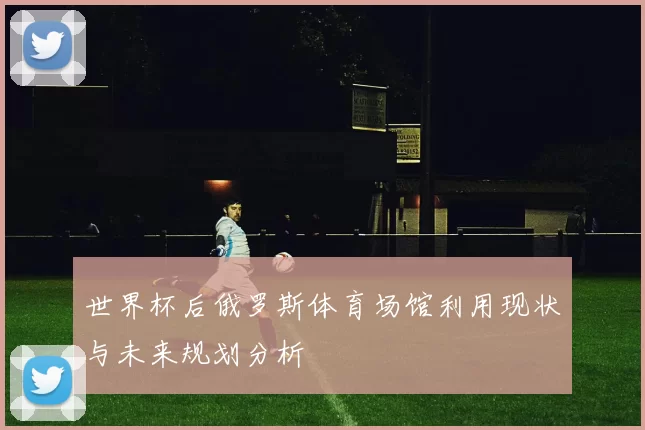 世界杯后俄罗斯体育场馆利用现状与未来规划分析